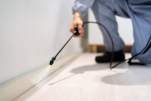 Licensed Pest Control service in Northville, MI - Show Me Pest Control